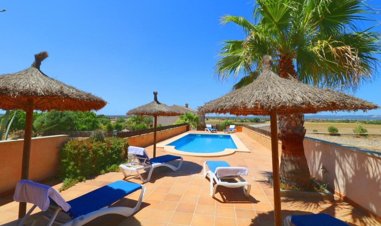 Alcoraia Villa Campos  Exterior foto