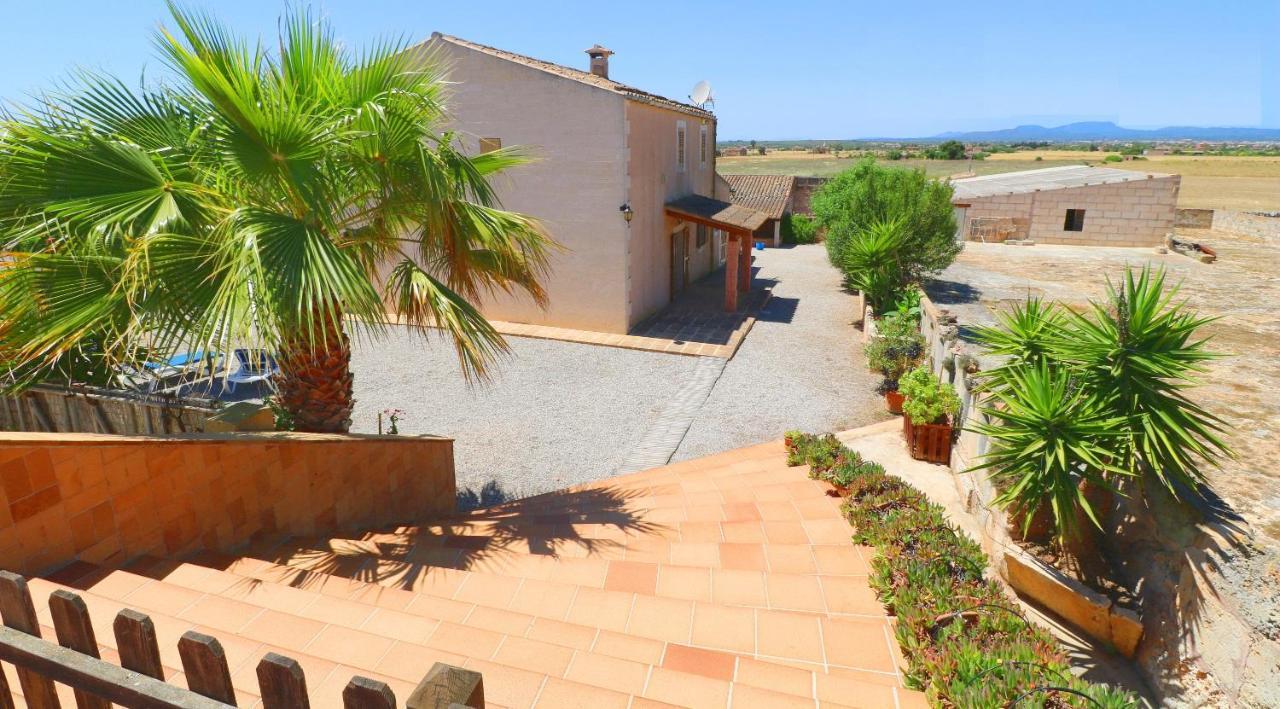 Alcoraia Villa Campos  Exterior foto